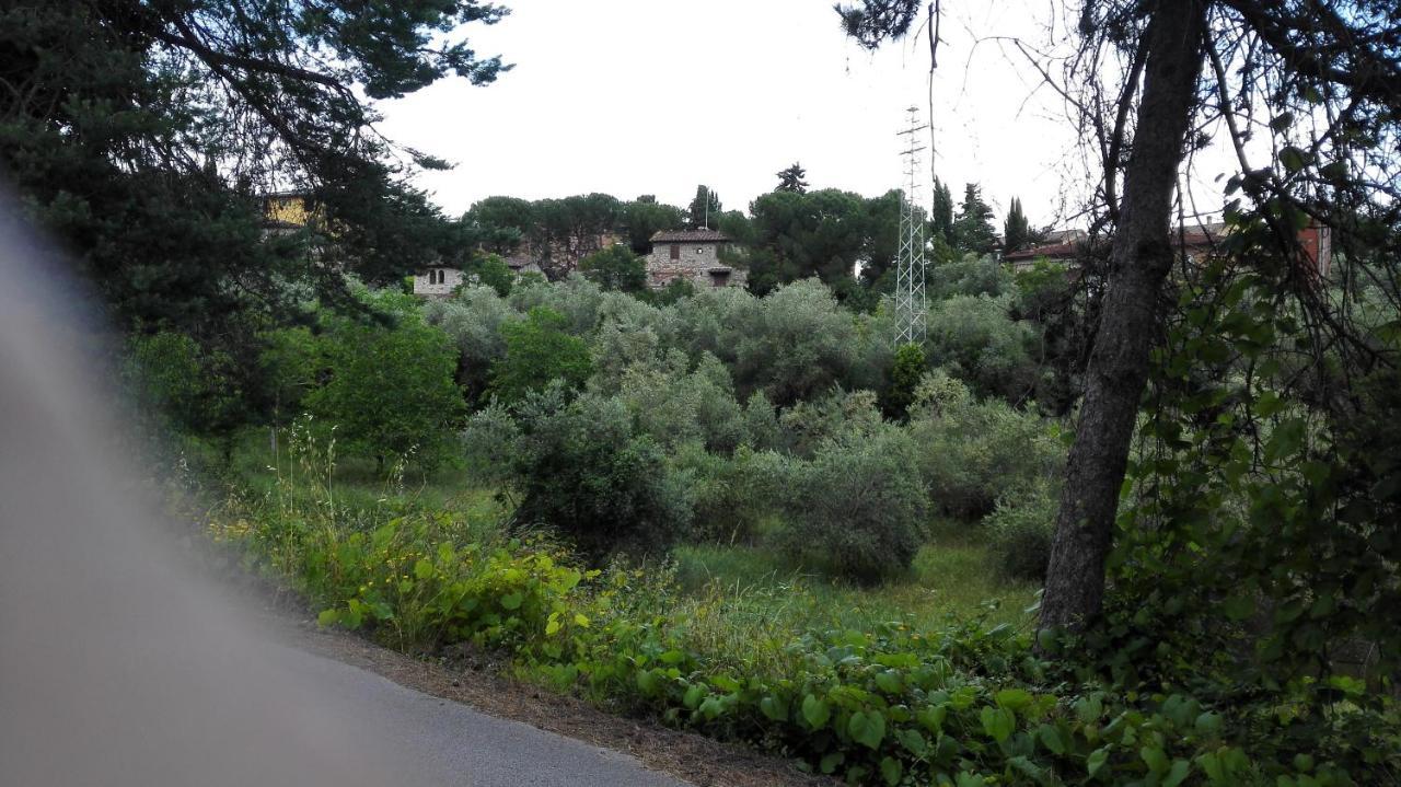 Casa Lilio Leilighet Radda in Chianti Eksteriør bilde